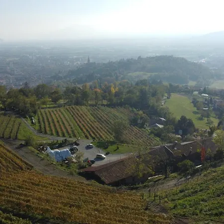 Dai Dellerba مزرعة للإقامة بينيرولو