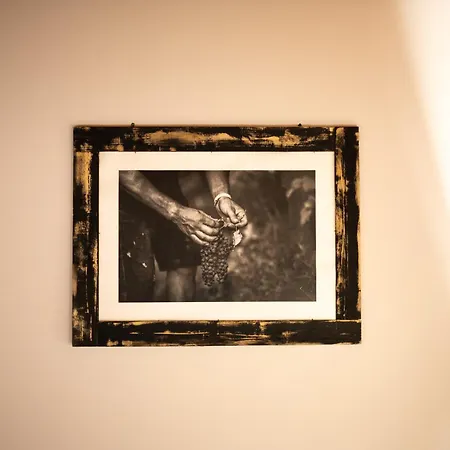 مزرعة للإقامة Dai Dellerba