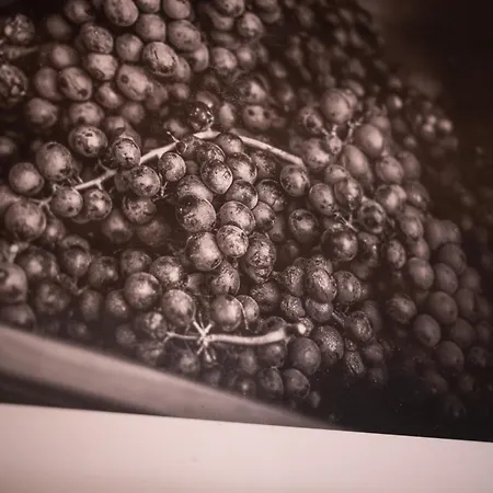 Dai Dellerba * بينيرولو