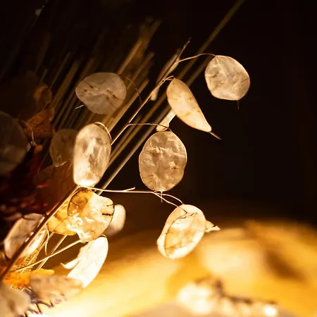 مزرعة للإقامة Dai Dellerba