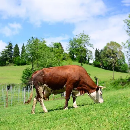 Dai Dellerba بينيرولو