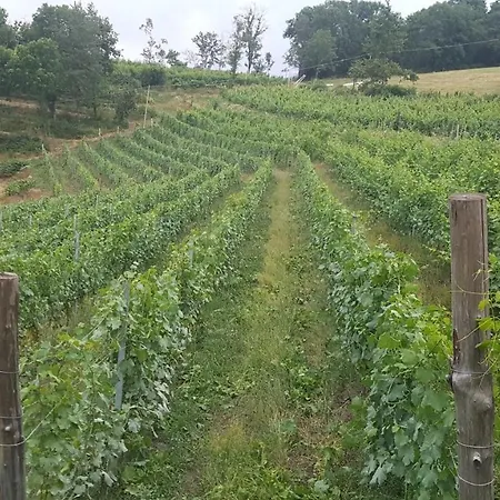 Dai Dellerba مزرعة للإقامة