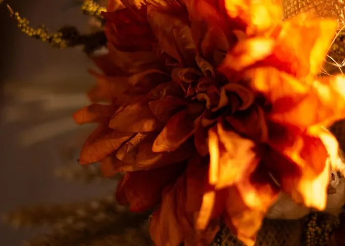 Dai Dellerba Pinerolo