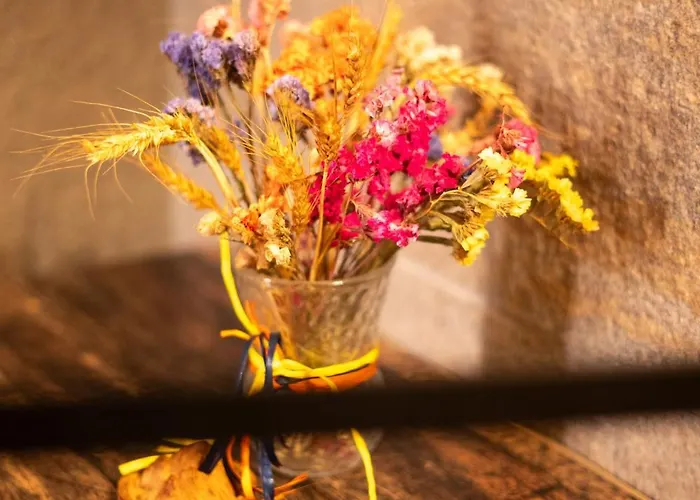 Dai Dellerba Pinerolo