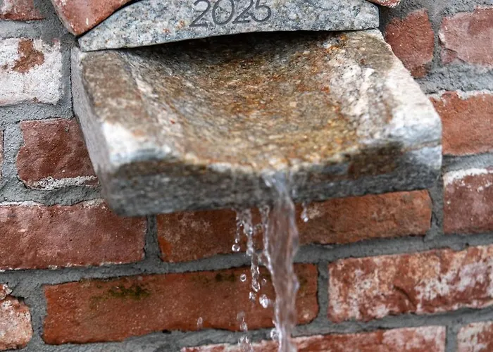 Dai Dellerba Pinerolo