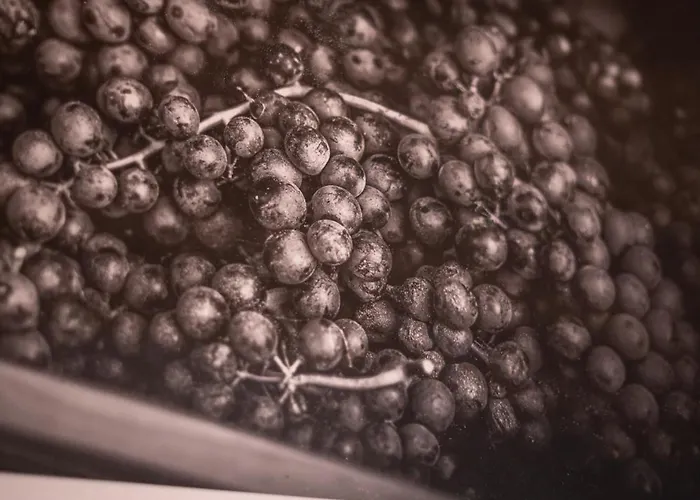 Dai Dellerba * Pinerolo