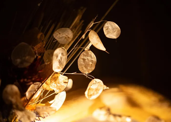 Farmház Dai Dellerba